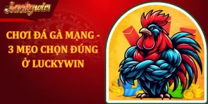 Chơi Đá Gà Mạng - 3 Mẹo Giúp Chọn Đúng Ở LUCKYWIN