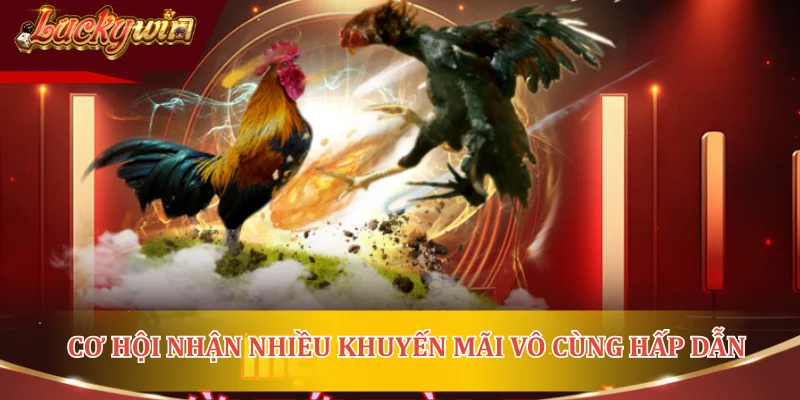 Cơ hội nhận nhiều khuyến mãi vô cùng hấp dẫn
