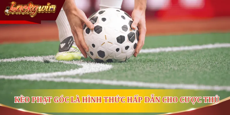 Kèo phạt góc là hình thức hấp dẫn dành cho bet thủ