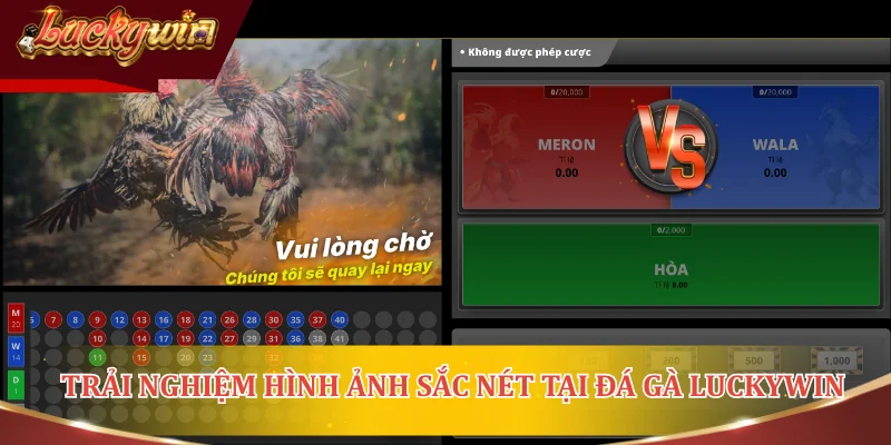 Trải nghiệm hình ảnh sắc nét tại đá gà LUCKYWIN